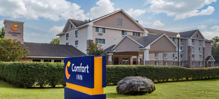 舒适酒店(Comfort Inn)图片