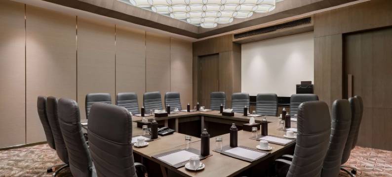 波泰尔丽笙酒店(Radisson Bhopal)图片