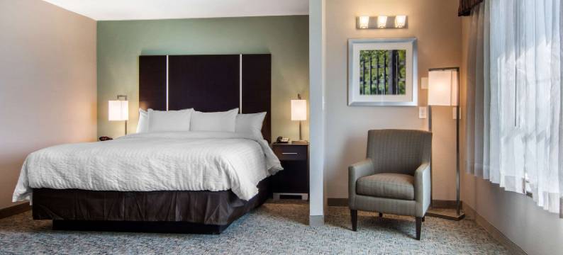 亚特兰大市中心凯隆酒店(Clarion Inn & Suites Atlanta Downtown)图片