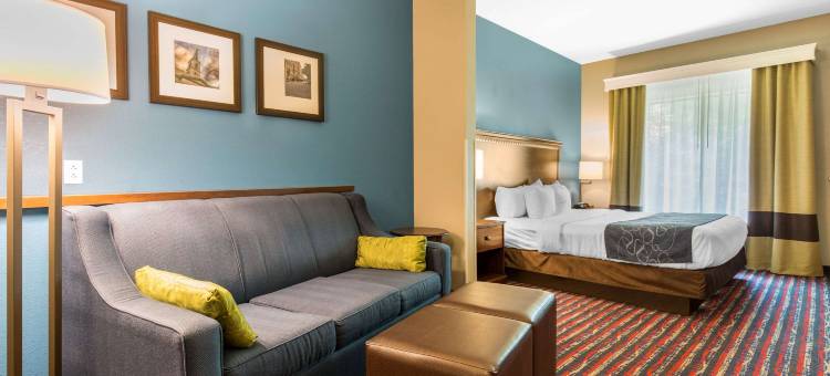 费尔维尤高地舒适套房酒店(Comfort Suites)图片