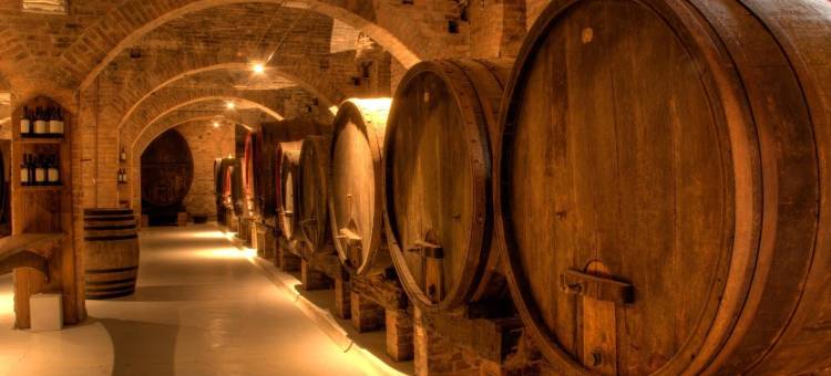 帕拉佐布兰达诺酒店(Palazzo Brandano)图片