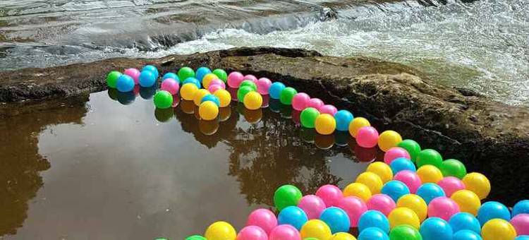 希图芒豪生态小屋旅馆(HAU Eco Lodges Citumang Pangandaran)图片