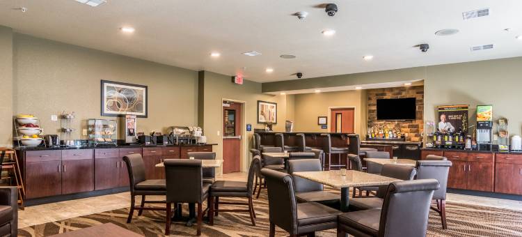 鹅卵石酒店及套房 - 格林维尔(Cobblestone Hotel & Suites - Greenville)图片