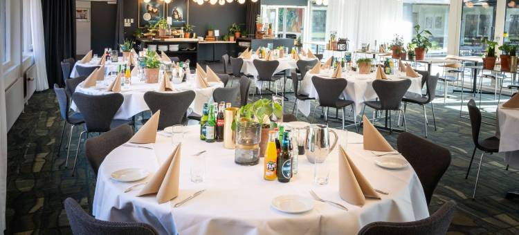 斯坎讷堡公园酒店(Skanderborg Park)图片