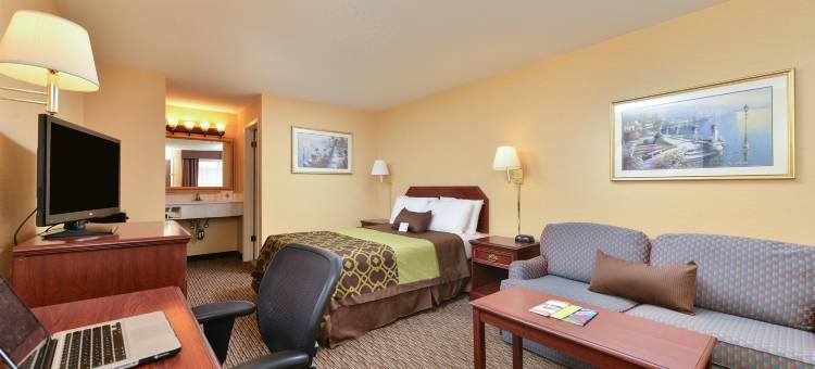 圣何塞会议中心美洲最佳价值酒店(Americas Best Value Inn- San Jose Convention Center)图片