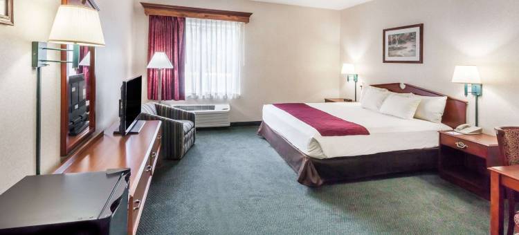 新布法罗温德姆呗盟酒店(Baymont by Wyndham New Buffalo)图片