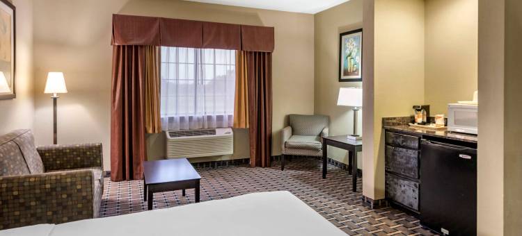 克洛维斯北部的舒适套房酒店(Comfort Suites Clovis North)图片