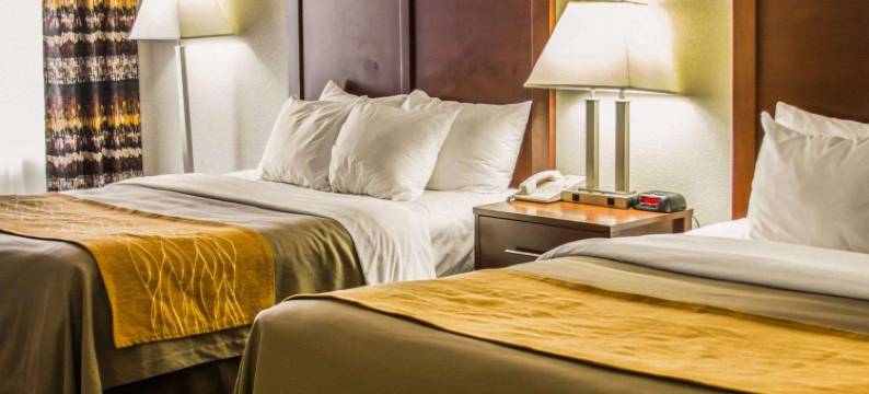 布尔什瑞昂舒适酒店(Comfort Inn)图片