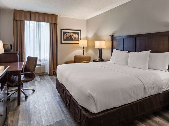 贝斯特韦斯特帕拉默斯酒店及套房