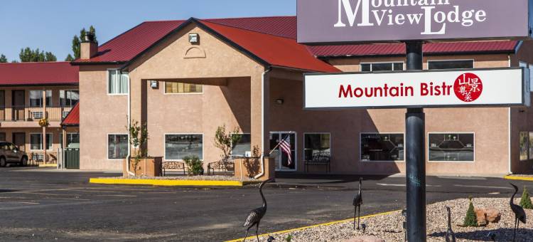 山景住宿酒店(Mountain View Lodge)图片