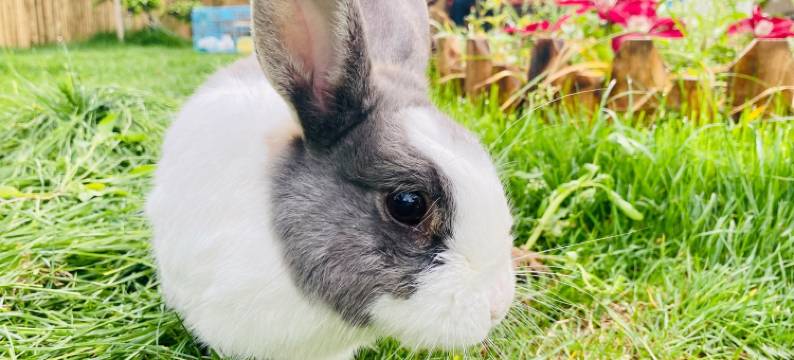 上海悠然小筑民宿图片