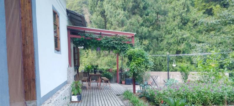 千岛湖乡坞乡村民宿图片