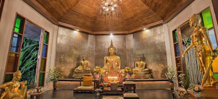 特里塔拉度假村(Tree Tara Resort)图片