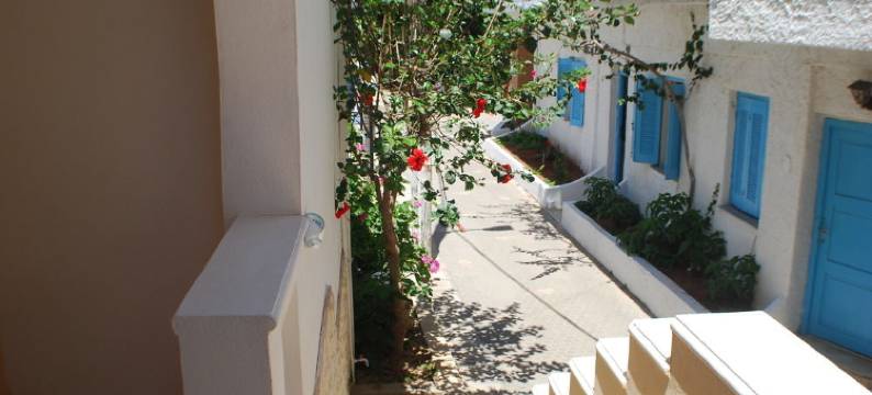 蕾妮亚工作室(Renia Studios)图片