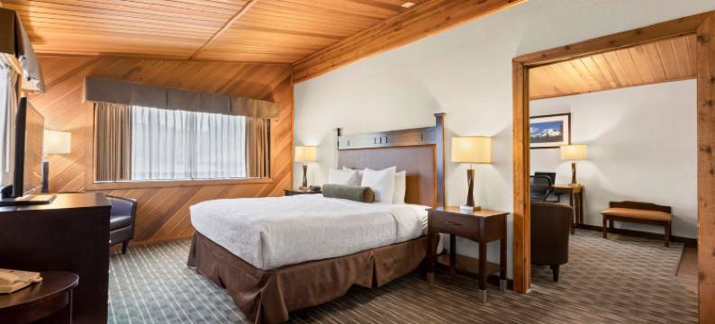 树屋贝斯特韦斯特优质酒店(Best Western Plus Tree House)图片