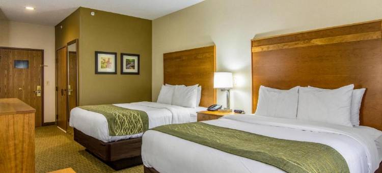 米勒斯堡舒适酒店(Comfort Inn)图片