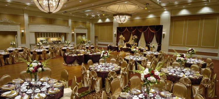多伦多旺市希希尔顿花园旅馆(Hilton Garden Inn Toronto/Vaughan)图片