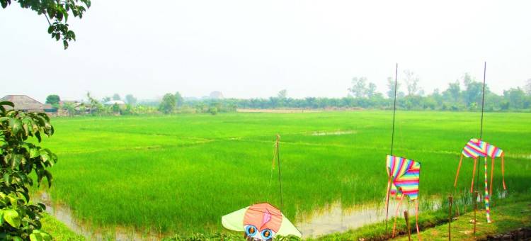 美赛(清萊)旅馆(Mingalarpar Resort)图片