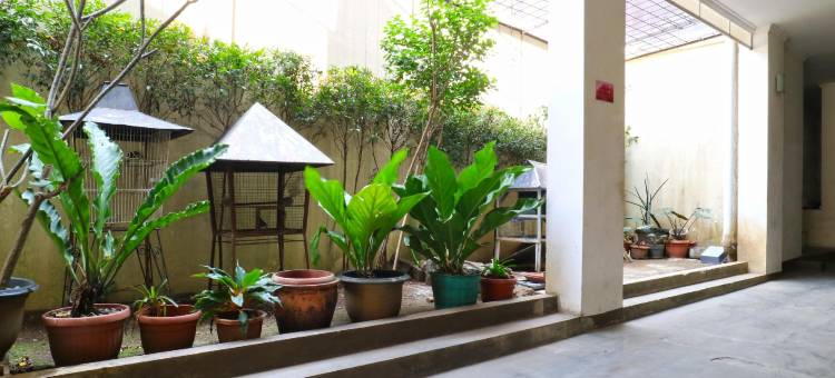 萨洛卡旅馆(Saloka Guest House & Residence)图片