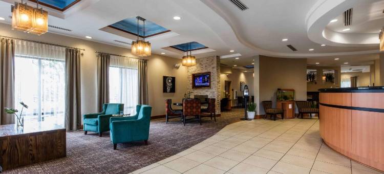 舒适套房酒店(Comfort Suites)图片