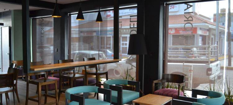 波萨里卡维多利亚酒店 - 布拉哈玛(Hotel Victoria Poza Rica by Brahma)图片