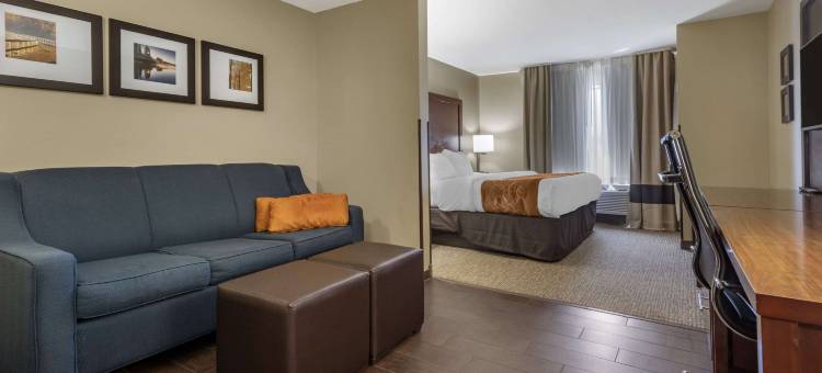 舒适套房酒店-桥港市克拉克斯堡(Comfort Suites Bridgeport - Clarksburg)图片