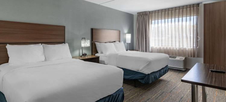MainStay套房列克星敦I-75(MainStay Suites Lexington I-75)图片
