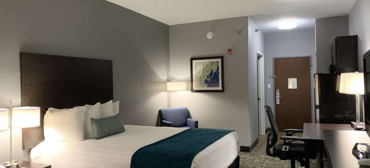 奥利夫布兰奇贝斯特韦斯特优质套房酒店(Best Western Plus Olive Branch Hotel  Suites)图片