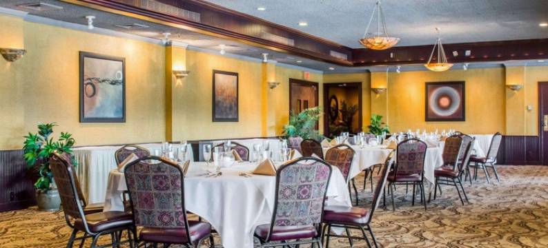 河滨凯隆套房酒店(Clarion Hotel & Suites Riverfront)图片