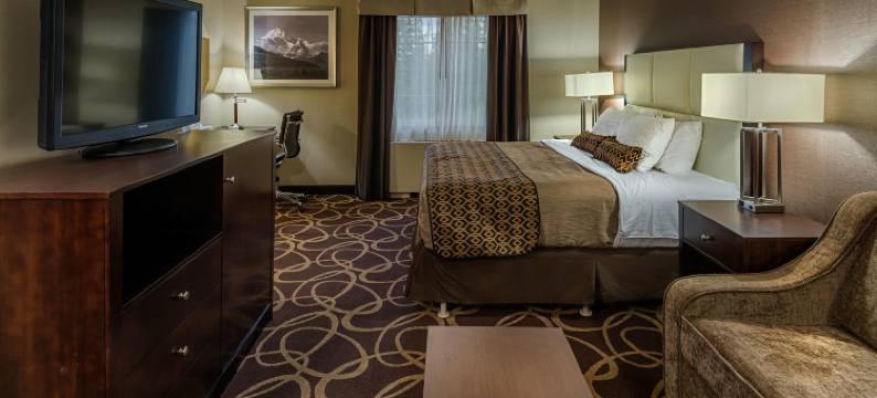 先驱者公园贝斯特韦斯特优质酒店(Best Western Plus Pioneer Park Inn)图片