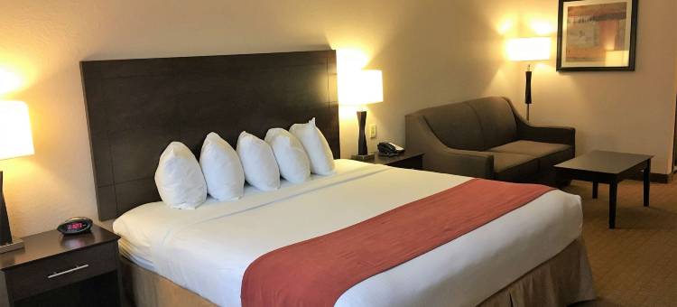 洛尔松贝斯特韦斯特酒店(Best Western Lorson Inn)图片