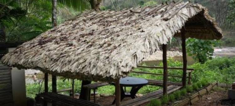 Ponmudi Dale. Homestay图片