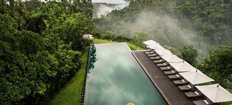 阿丽拉 乌布(Alila Ubud)图片
