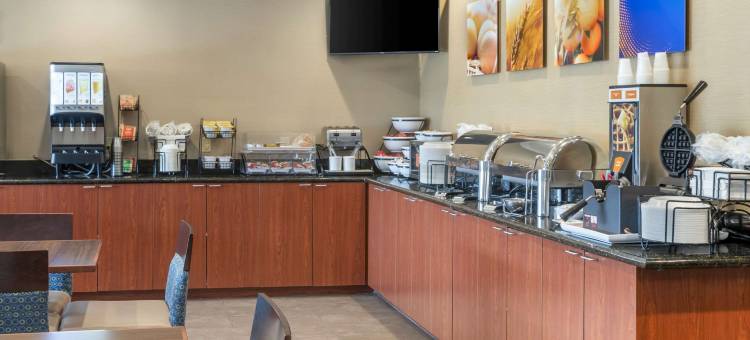 舒适套房酒店(Comfort Inn & Suites)图片