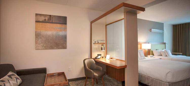 雅典市西万豪SpringHill酒店(SpringHill Suites Athens West)图片