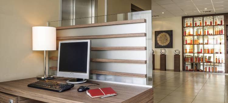 宜必思腓特烈斯港机场会展中心酒店(Ibis Friedrichshafen Airport Messe)图片