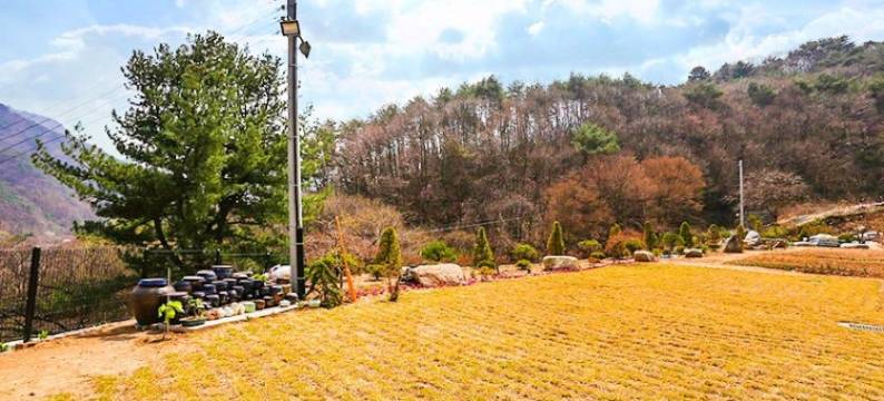 Muju Solhyanggi Pension图片