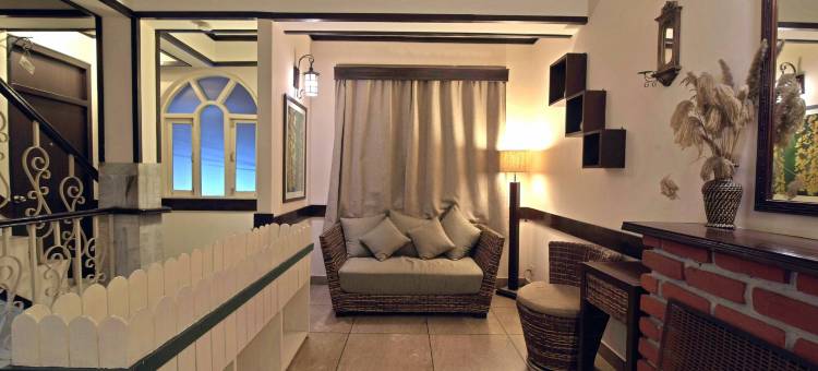 荨麻和蕨类植物酒店(The Nettle and Fern Hotel Gangtok)图片