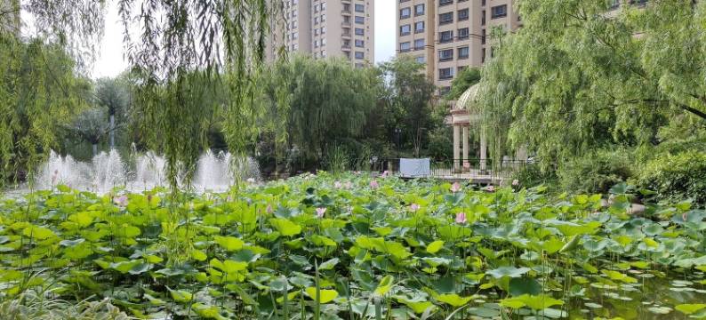 舍予云舍公寓(迎曙路2号分店)图片