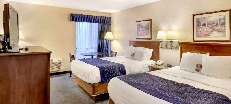 贝灵厄姆舒适酒店(Comfort Inn Bellingham)图片