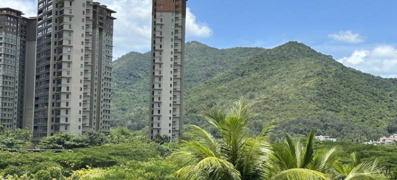 夏日度假美宿客栈(棕榈路分店)图片