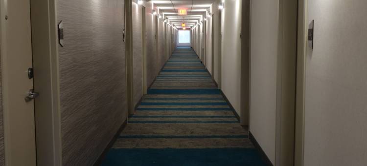 罗利达勒姆机场RTP希尔顿惠庭酒店(Home2 Suites by Hilton Raleigh Durham Airport RTP)图片