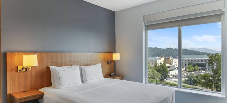 阿什维尔市中心希尔顿逸林酒店(DoubleTree by Hilton Asheville Downtown)图片