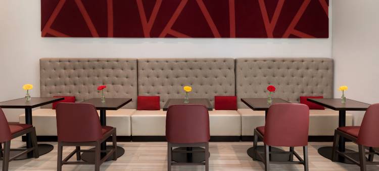 纽约长岛市希尔顿花园酒店(Hilton Garden Inn Long Island City)图片