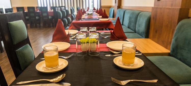 克里希纳皇家酒店(Hotel the Royal Krishna)图片