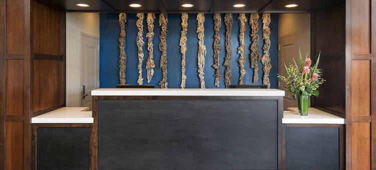 牙买加湾-帝王海滨湾酒店-希尔顿挂毯系列(Jamaica Bay Inn Marina Del Rey, Tapestry Collection by Hilton)图片