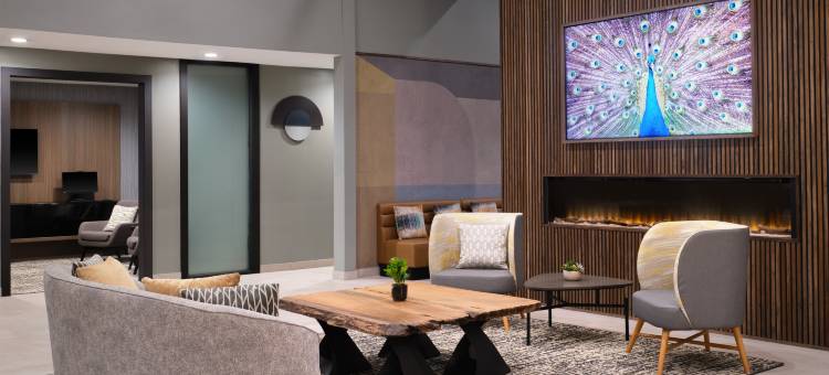 洲际酒店集团假日酒店 冈萨雷斯(Holiday Inn Gonzales)图片