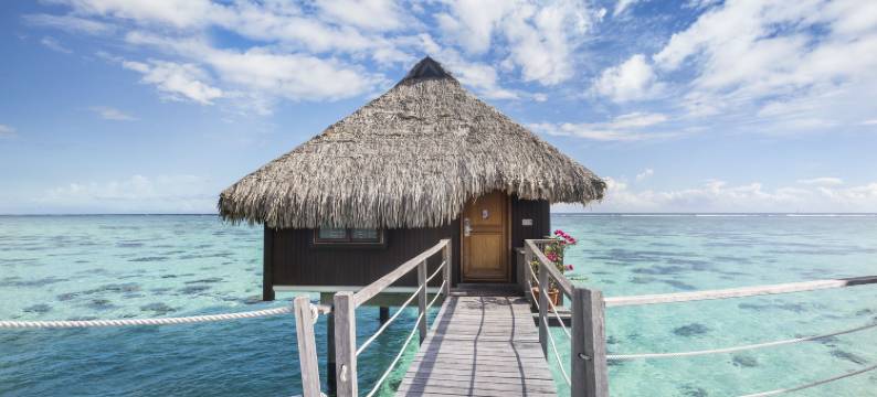 茉莉亚礁湖希尔顿度假酒店及水疗中心(Hilton Moorea Lagoon Resort and Spa)图片