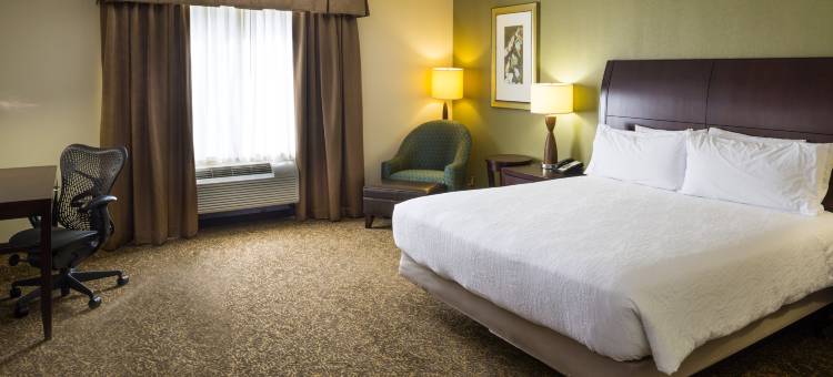 竞技场中央希尔顿花园酒店欢朋酒店(Hilton Garden Inn Hampton Coliseum Central)图片