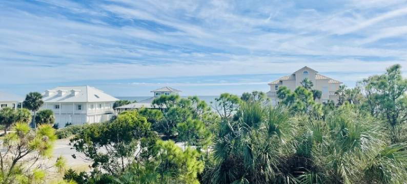 Sunshine State of Mind 4 bed/3.5 bath Private Pool Gated Community图片